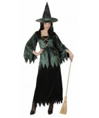 Карнавальный костюм "Ведьма зелёная для взрослых"
