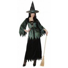 Карнавальный костюм "Ведьма зелёная для взрослых"
