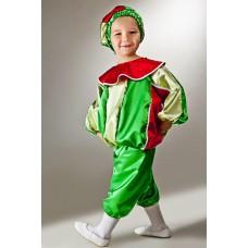 Карнавальный костюм для мальчика "Арбуз"