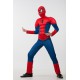 Карнавальный костюм "Человек - паук"